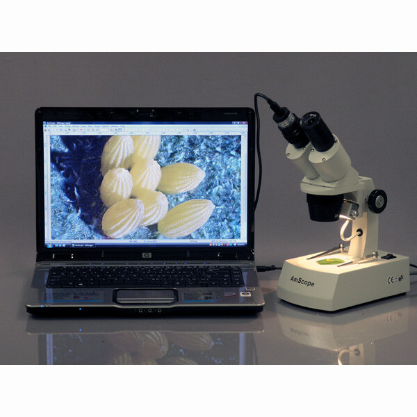AmScope 2MP USB Still/Live Video Microscope Digital Camera Imager +Calibrate Kit