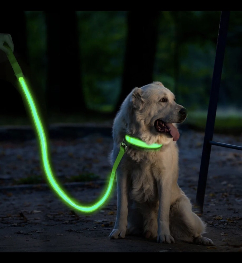 light up dog leash And Collar