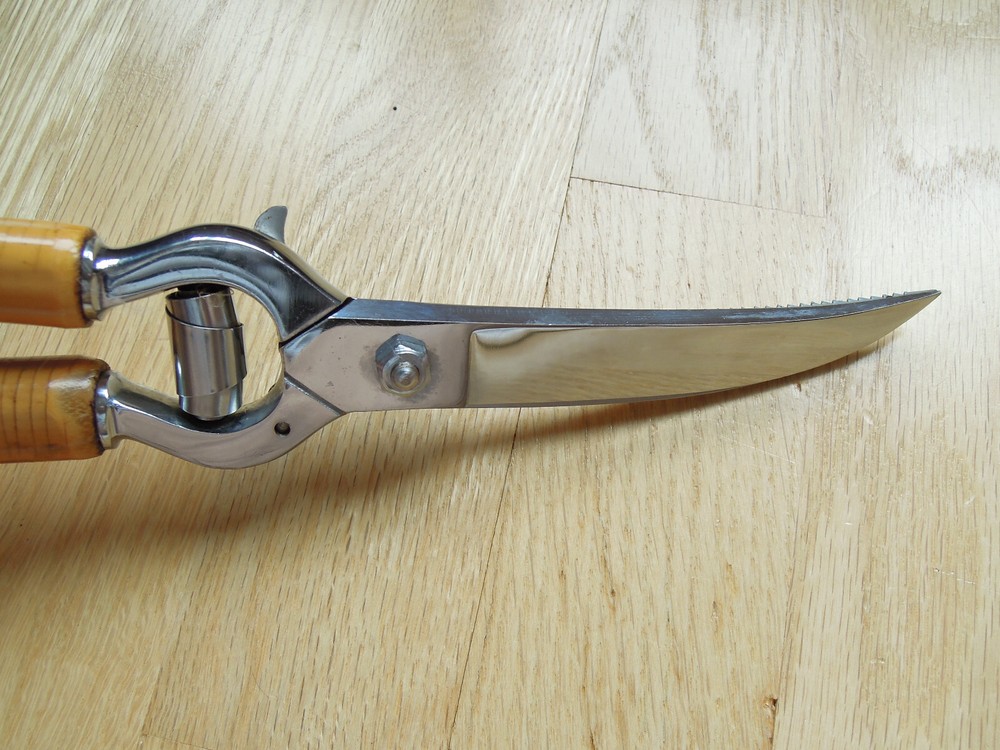 Vtg Solingen Poultry Scissors Shears Kitchen Germany Carves Stag Bone Handle