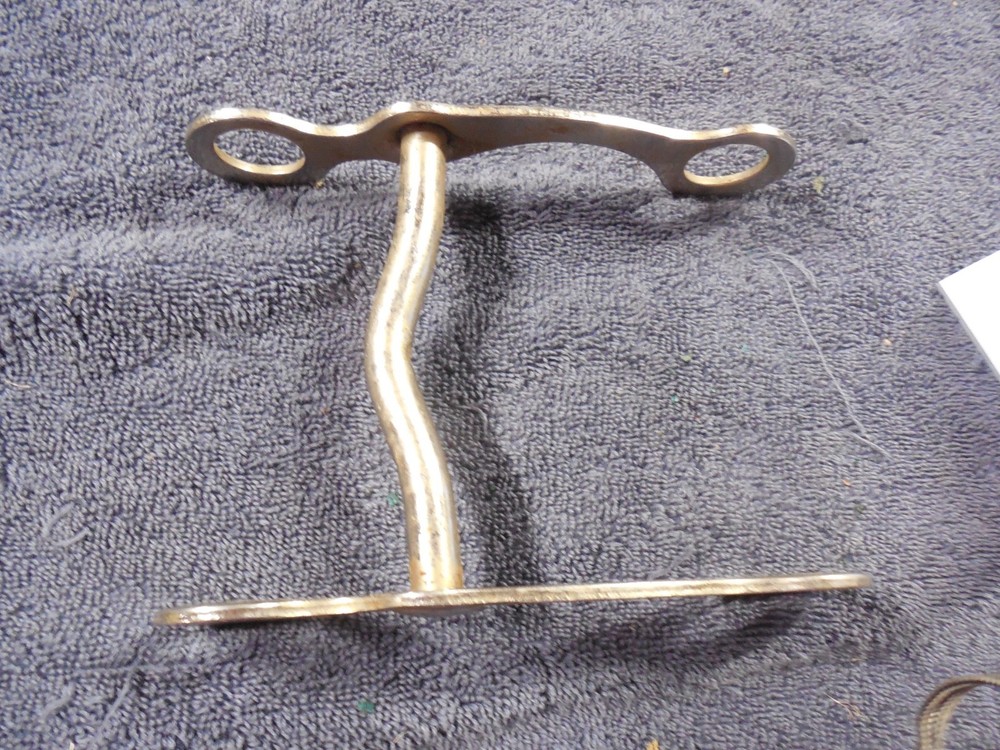 Silver and a Silver curb Bit