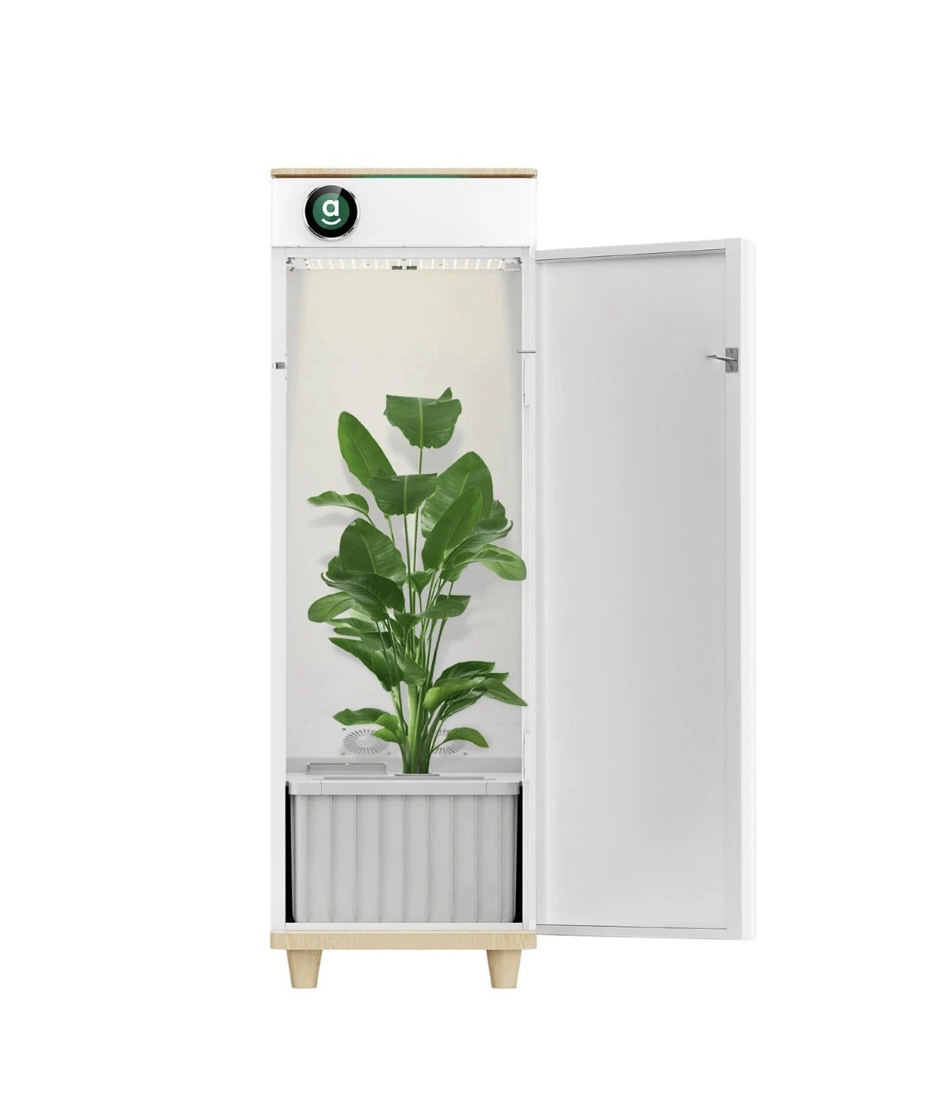 Hey Abby 420 Edition Hydroponic Grow Box (New Condition) With Accessories