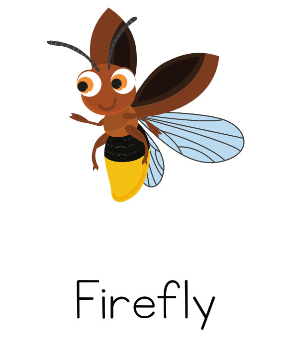 Printable Illustrated Insect Flash Card - A4 / A5 Sizes