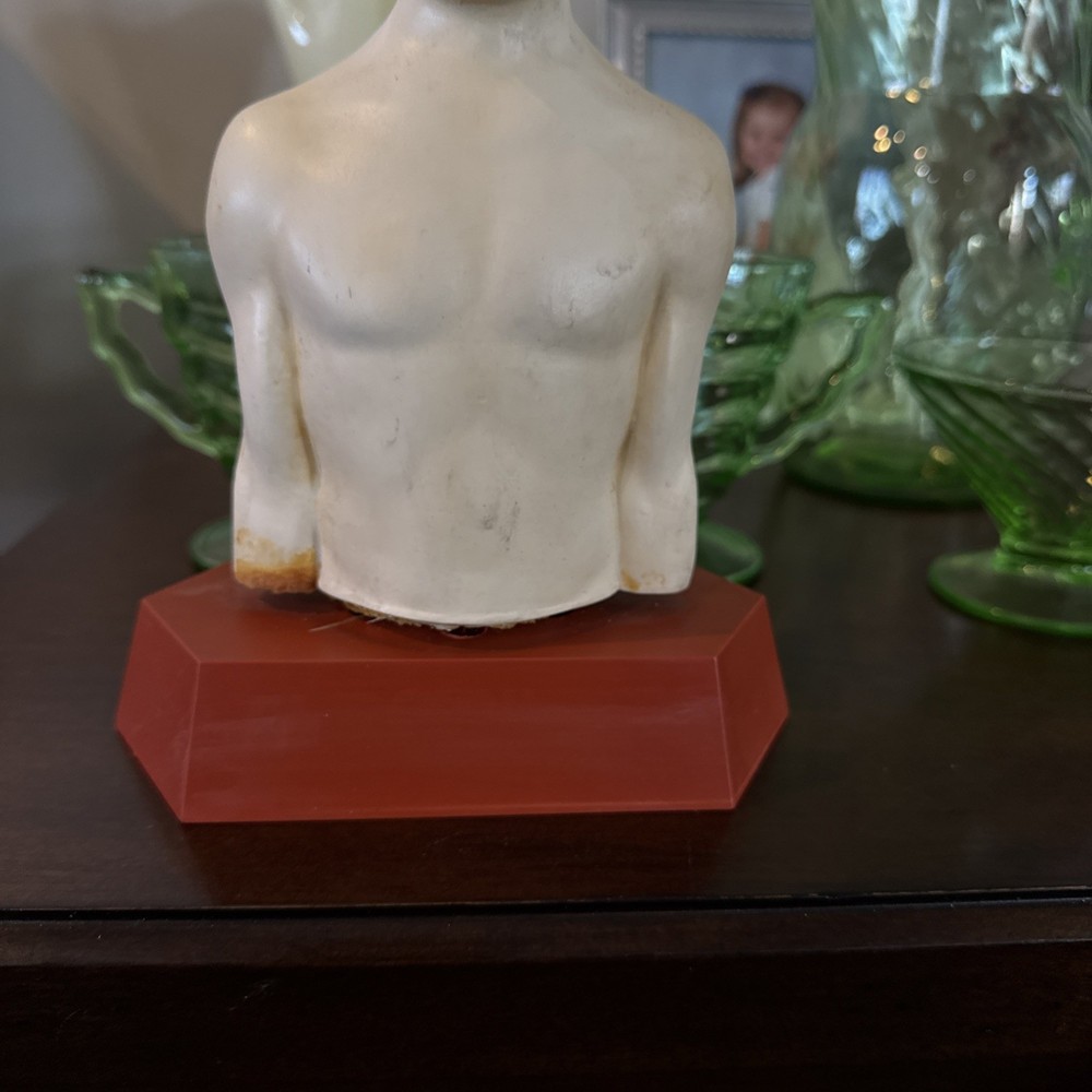Merck Sharp & Dohme Pharmaceuticals Human Torso Anatomical Model Look