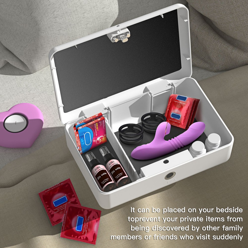 Portable Safe Box Jewelry Cash Box with Biometric Fingerprint Lock & Pass Code