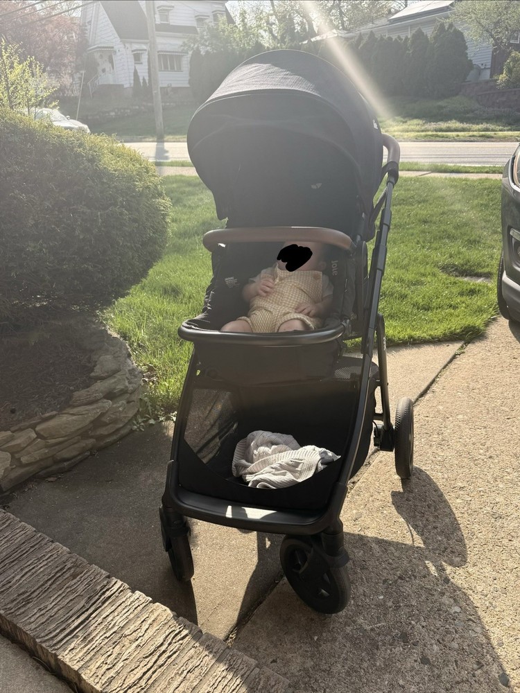 Joie ginger stroller