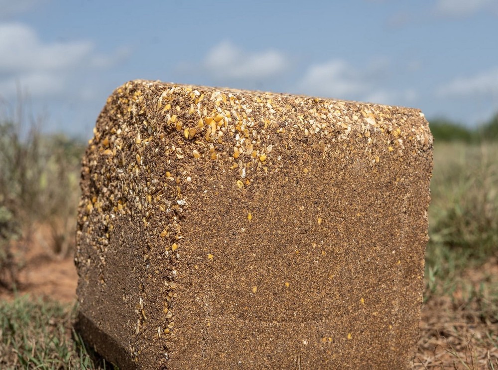 Deer Attractant Block, 25lbs