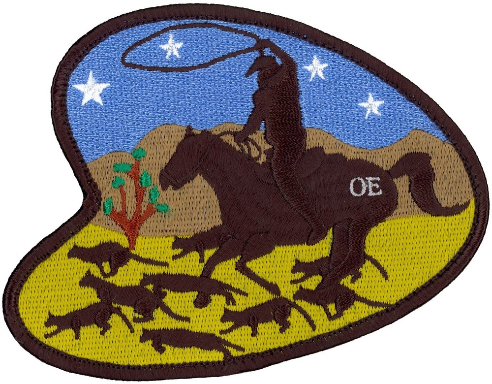 USAF 419th FLIGHT TEST SQUADRON – COWBOY MORALE PATCH