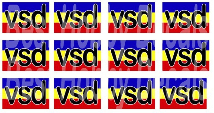 Custom VSD for customer 12 logos.
