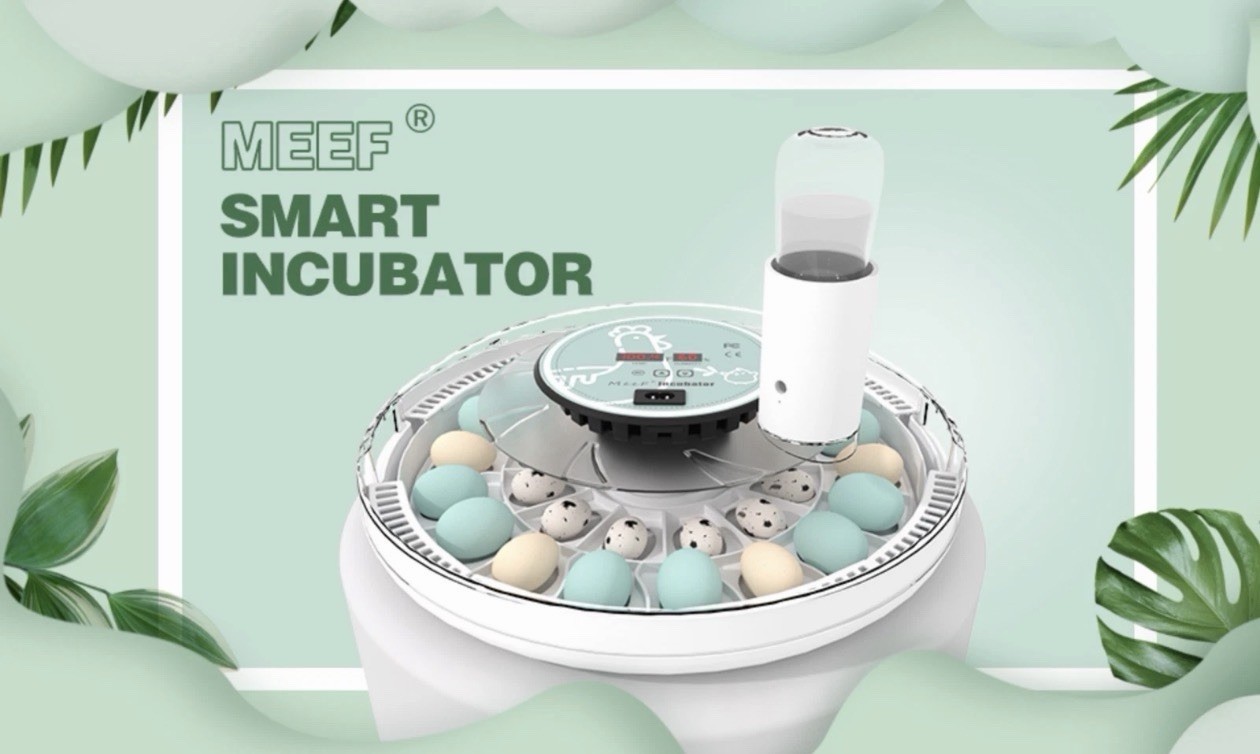 MeeF incubators for Hatching Eggs Automatic 30 Eggs Incubator with Tur