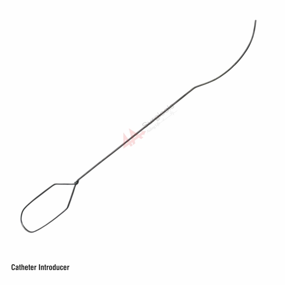 4A Catheter Introducer