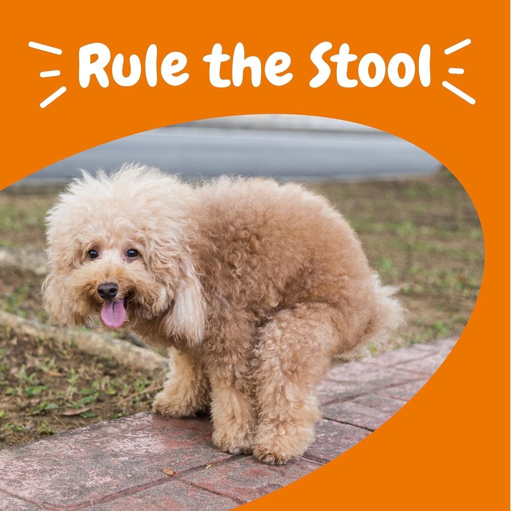 Solid Poop Support Bites for Dogs - 90 Count