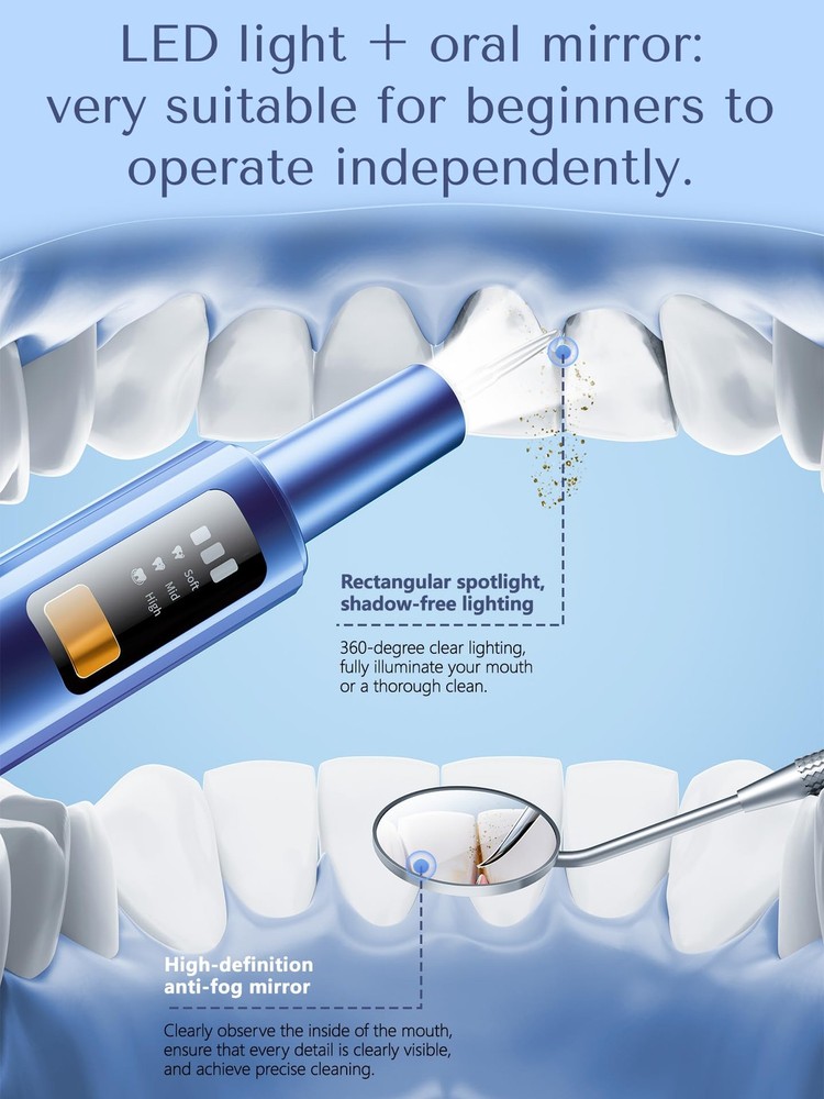 Plaque Remover for Teeth, Dental Tools, Teeth Cleaning Tools with 4 Replaceab...