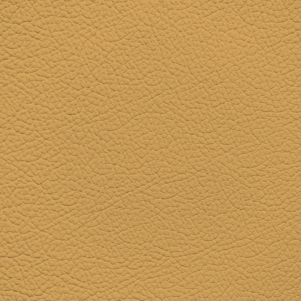 BMW Saffron Yellow Leather Dye
