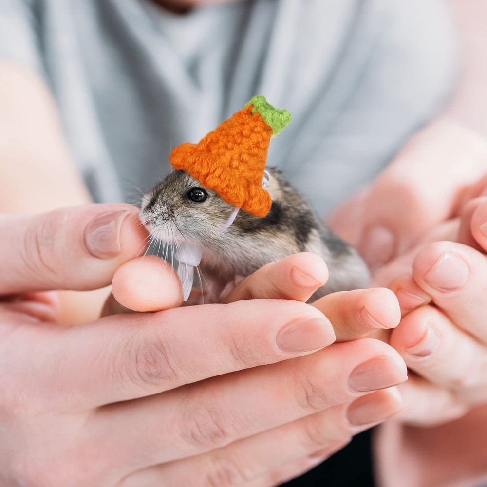 4 Pieces Hamster Hat Mini Small Animals with Adjustable Small, Multicolor