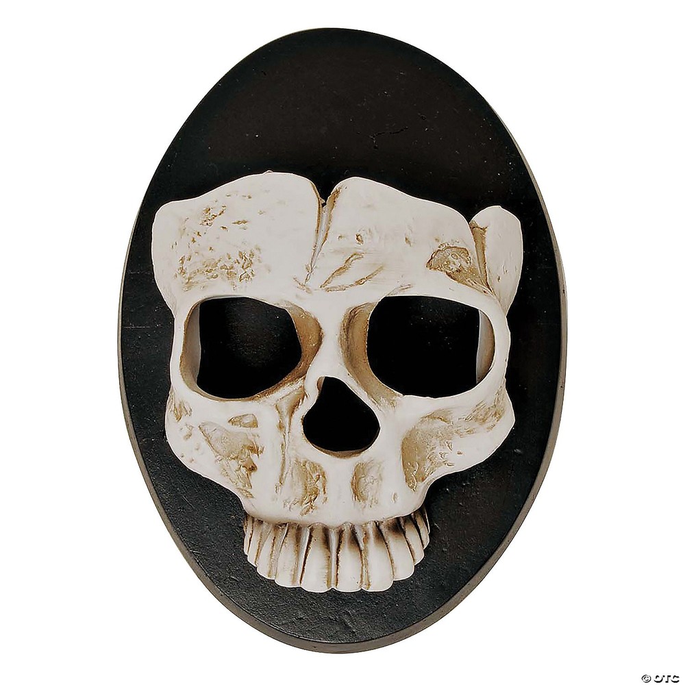 6" Skull Wall Sconce HH Décor
