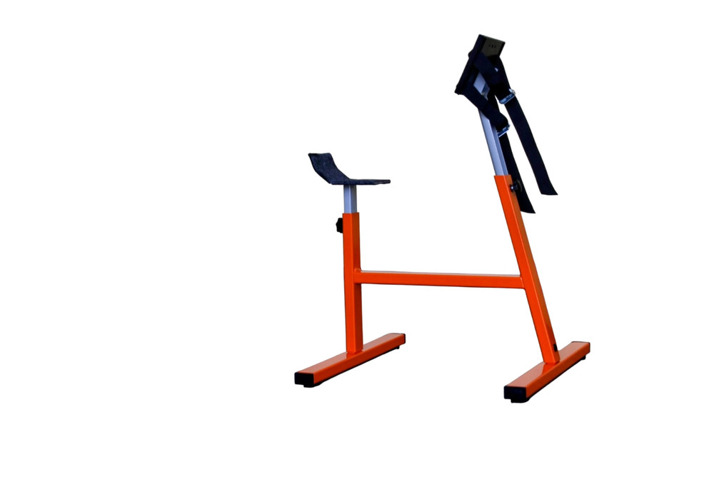 Central Maintenance Stand E-Bike Adjustable ebike emtb Universal