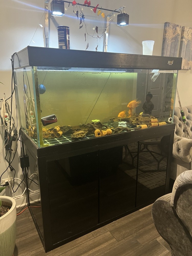 180G Fish Tank Setup with Overflow System