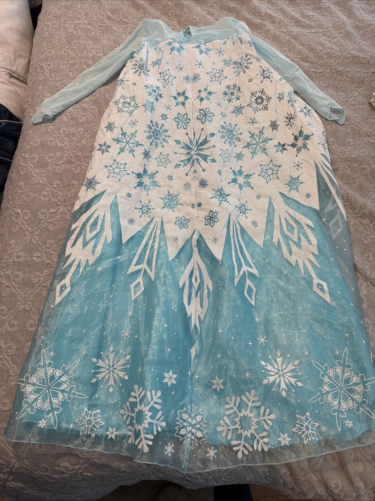 Disney's Frozen Elsa Snow Queen Gown Classic Girls Costume, Medium/7-8