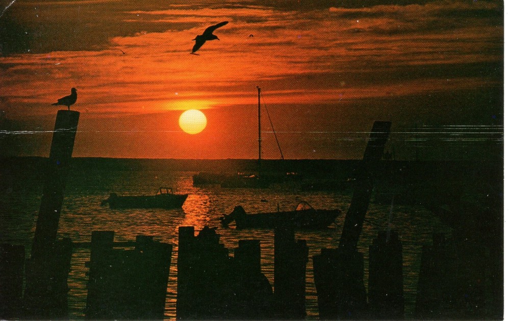 SUNSET  - CAPE COD, MA  - PC3616