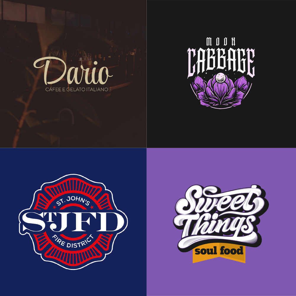PROFESSIONAL CUSTOM LOGO DESIGN + UNLIMITED REVISION + VECTOR FILE