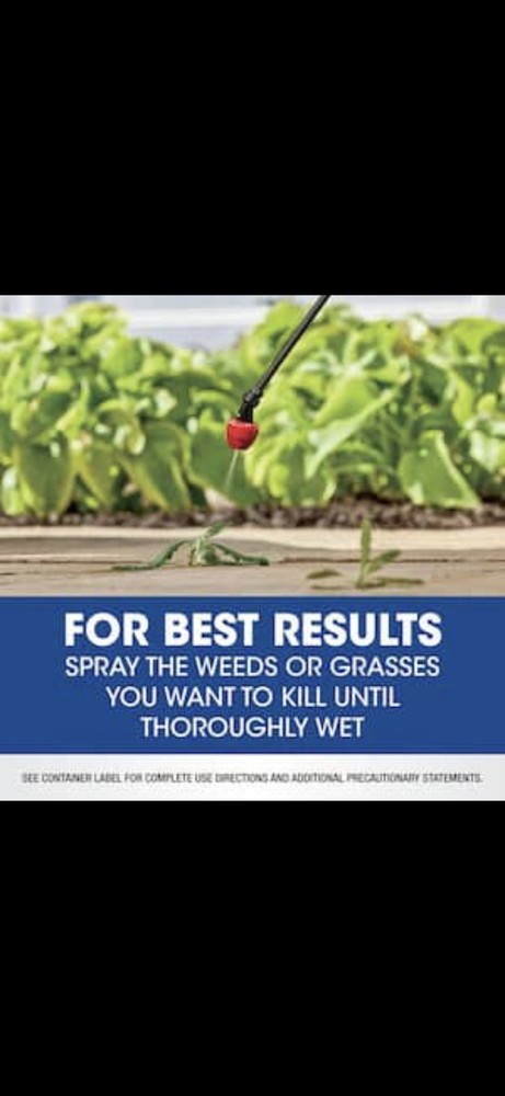 Roundup Weed and Grass Killer Concentrate Plus - 16oz