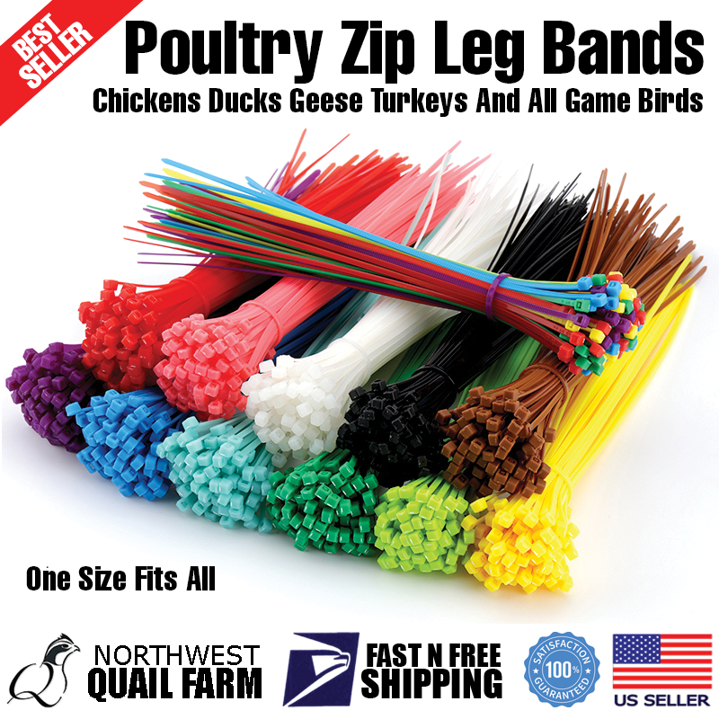 Zip Leg Bands Multi Colors for Poultry Chick Chickens Ducks Geese Turkeys 100pcs