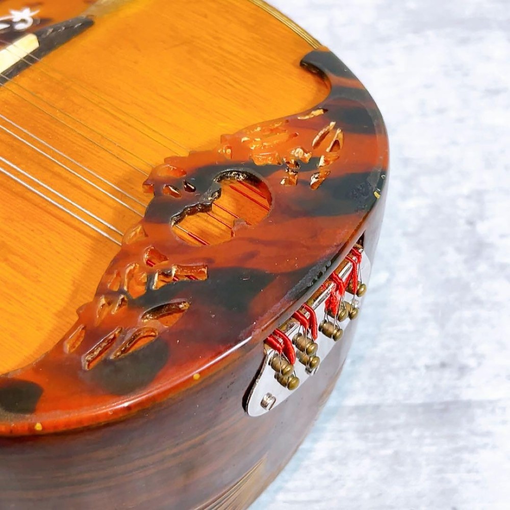 Rare! Raffaele Calace Mandolin No.16