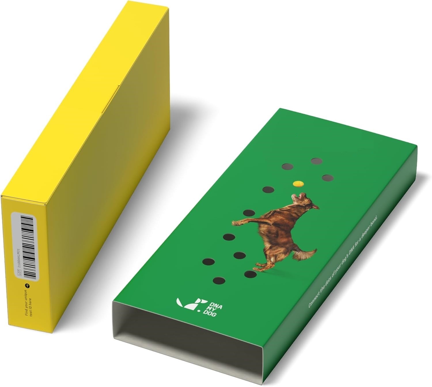 Dog Breed DNA Test Kit – 350+ Breeds, 99% Accuracy, Cheek Swab, 2-Week Results