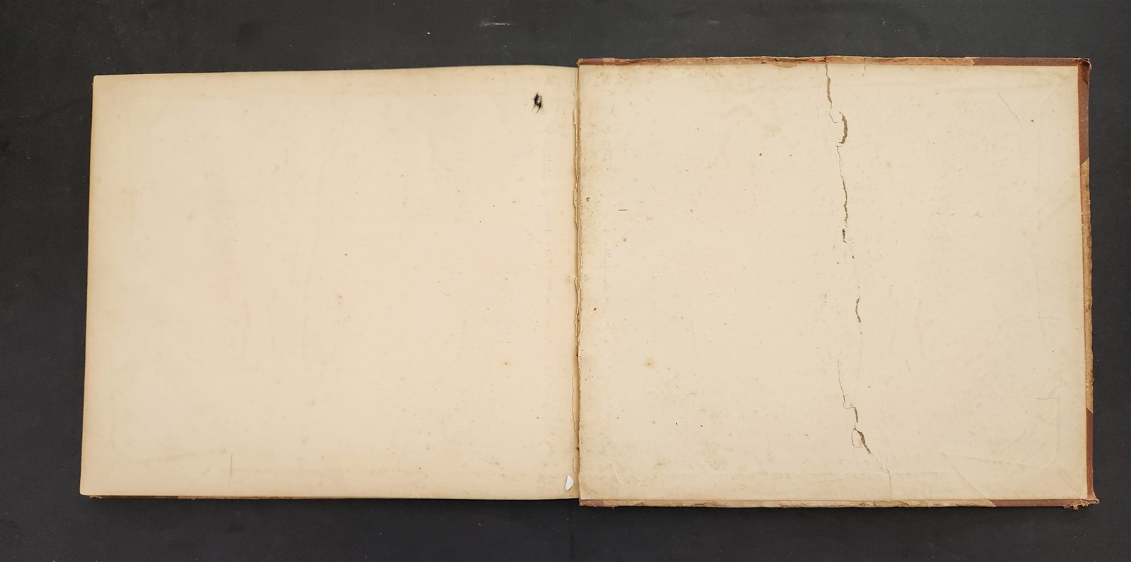 1883 antique SEAWEED pressed ALBUM monterey ca EUGENIE PHILLIPS specimen book