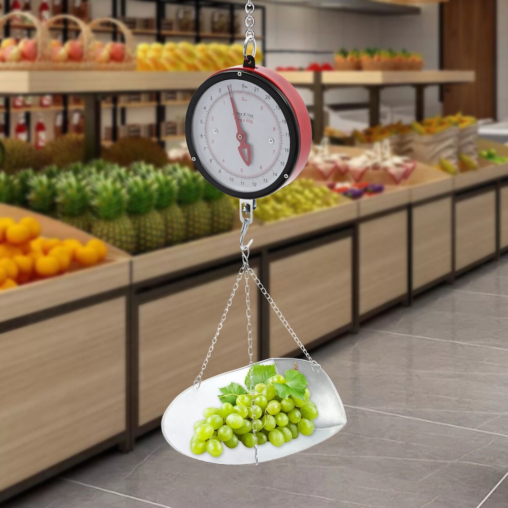 22 lbs Double-Sided Dial Hanging Scale with Durable Tray and Hook