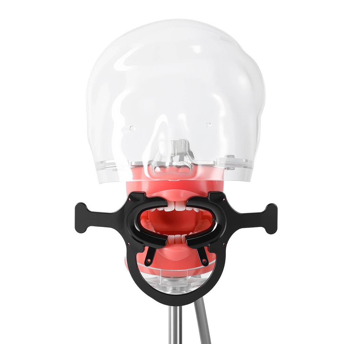 Separador y Retractor de Mejillas y Labios - Abrebocas para Exámenes Dentales