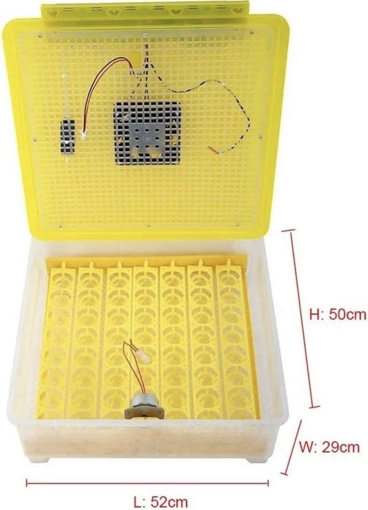 56 Digital Egg Incubator with Automatic Turner, Display, Green