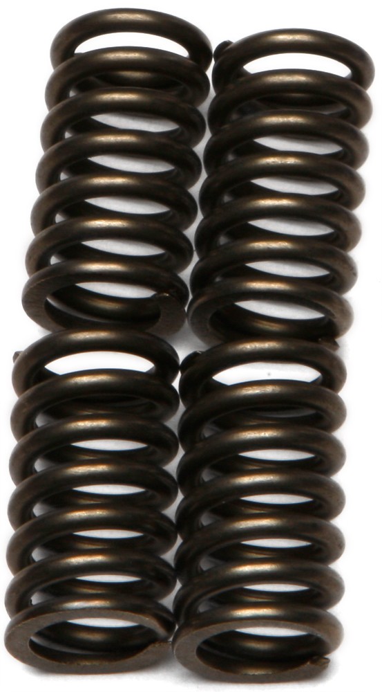 EBC Clutch Spring Set CSK115