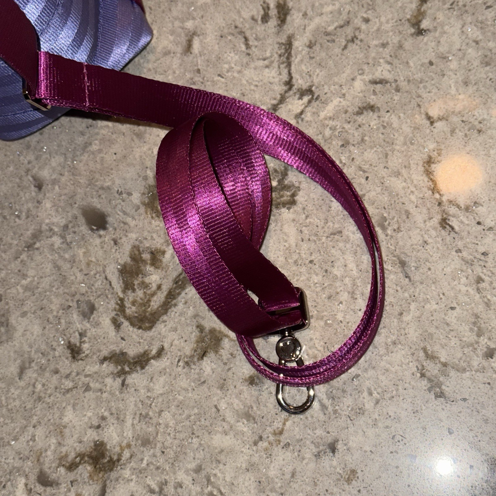 2026 EPCOT Festival of The Arts Joey Chou X Harveys WDW Castle Tote Bag NWT!