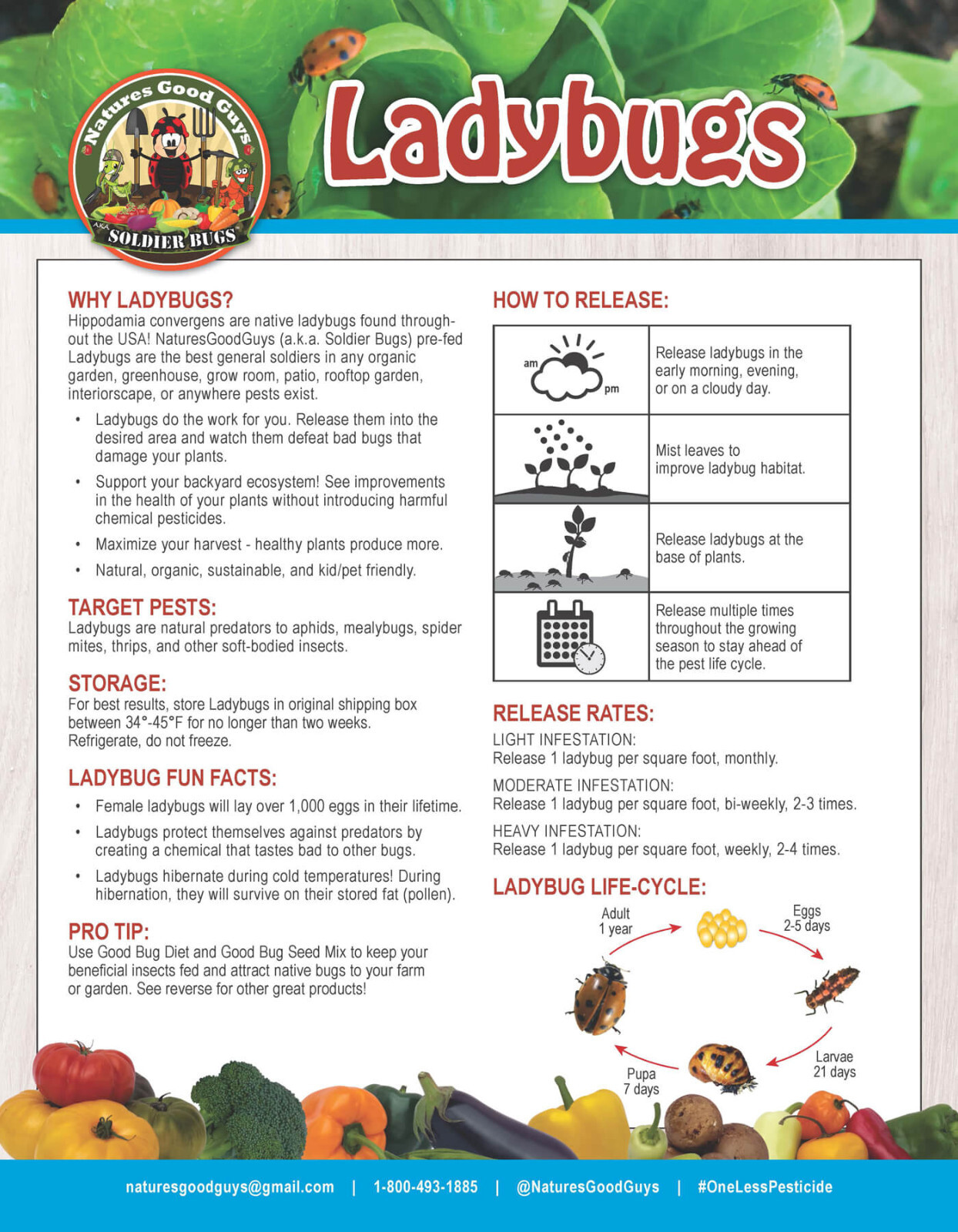 1,500 Live Ladybugs - Guaranteed Live Delivery!