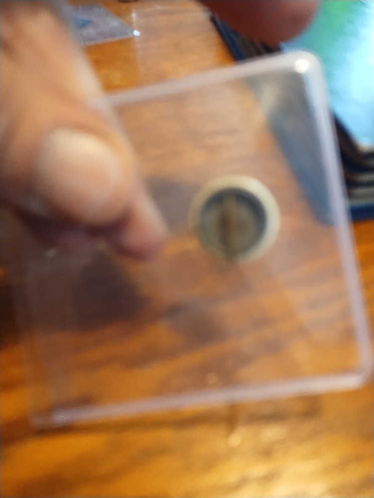 1919 Red Cross Pinstyle Button