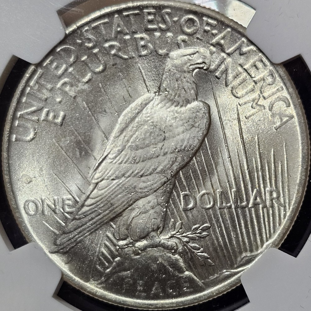 1925 Peace Dollar MS-66+ NGC COLLECTION VIDEO