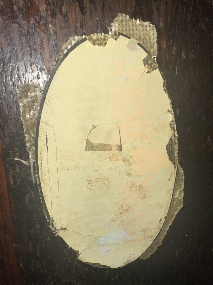Authentic 1958 Balsa Pig Greg Noll Laminate