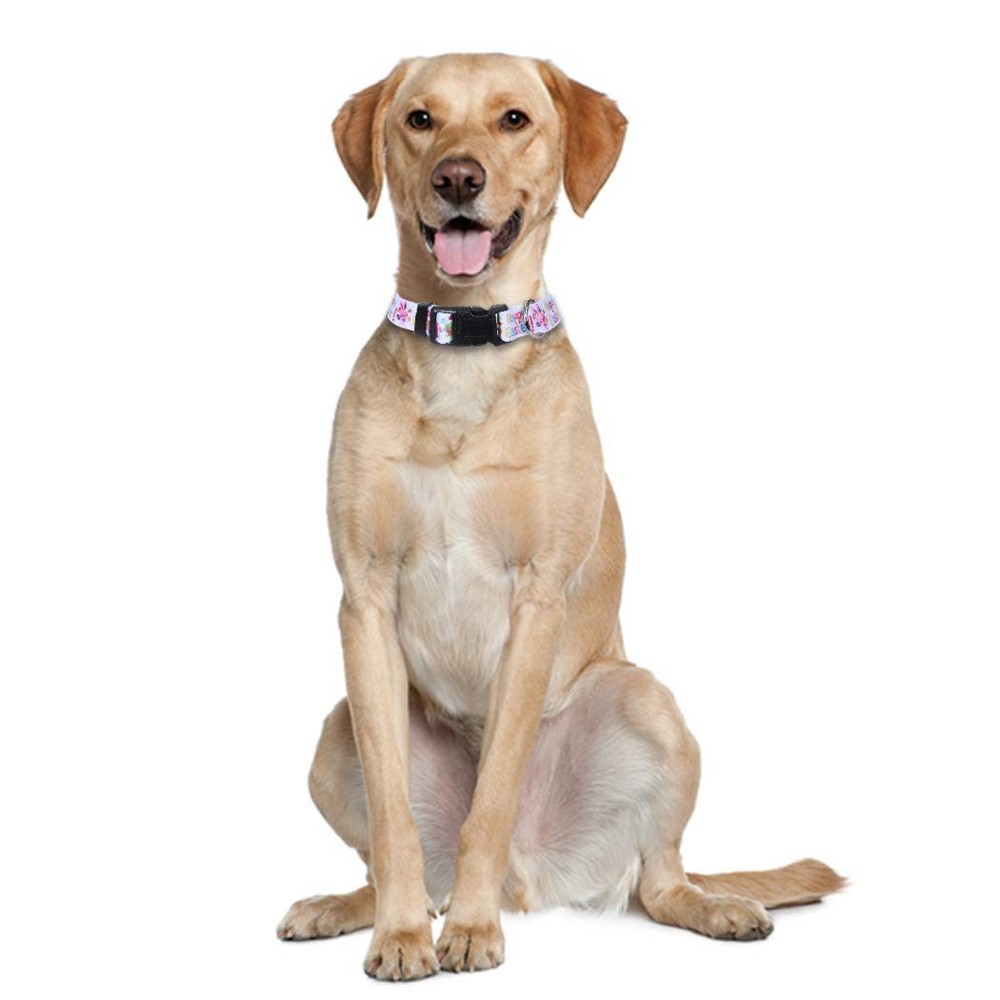 2 Pack Easter Dog Collar Adjustable Nylon Pet Collars Easter Egg Large Size