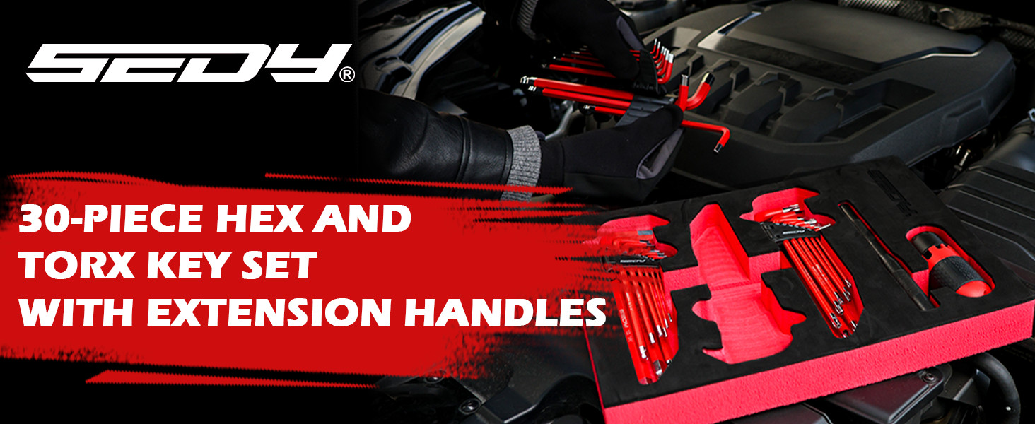 30PC L-Hex Torx Key Set Ball End Allen Wrench Grip Handle Extension Bar S2 Steel