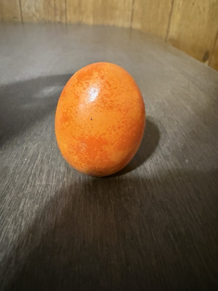 Hatching Turtle Figurine Orange Egg Green Turtle Just Under 2"