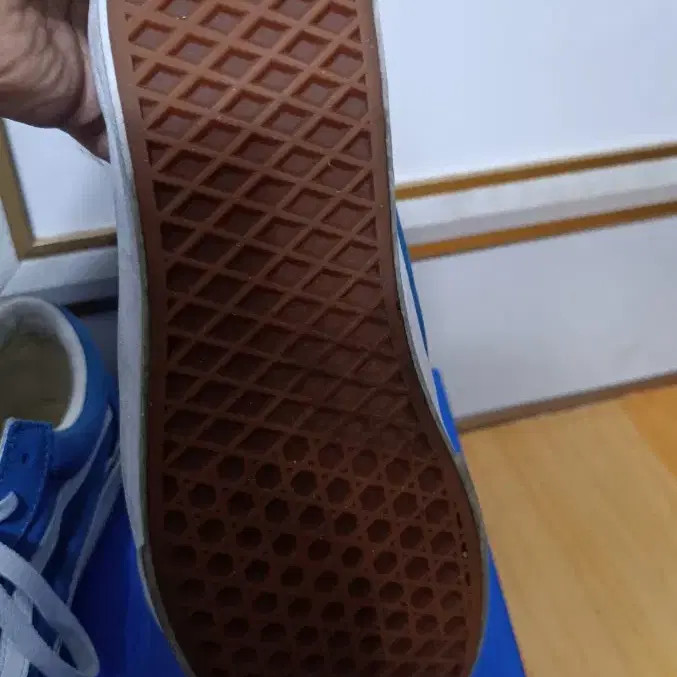 Vans 270 Sneakers Official