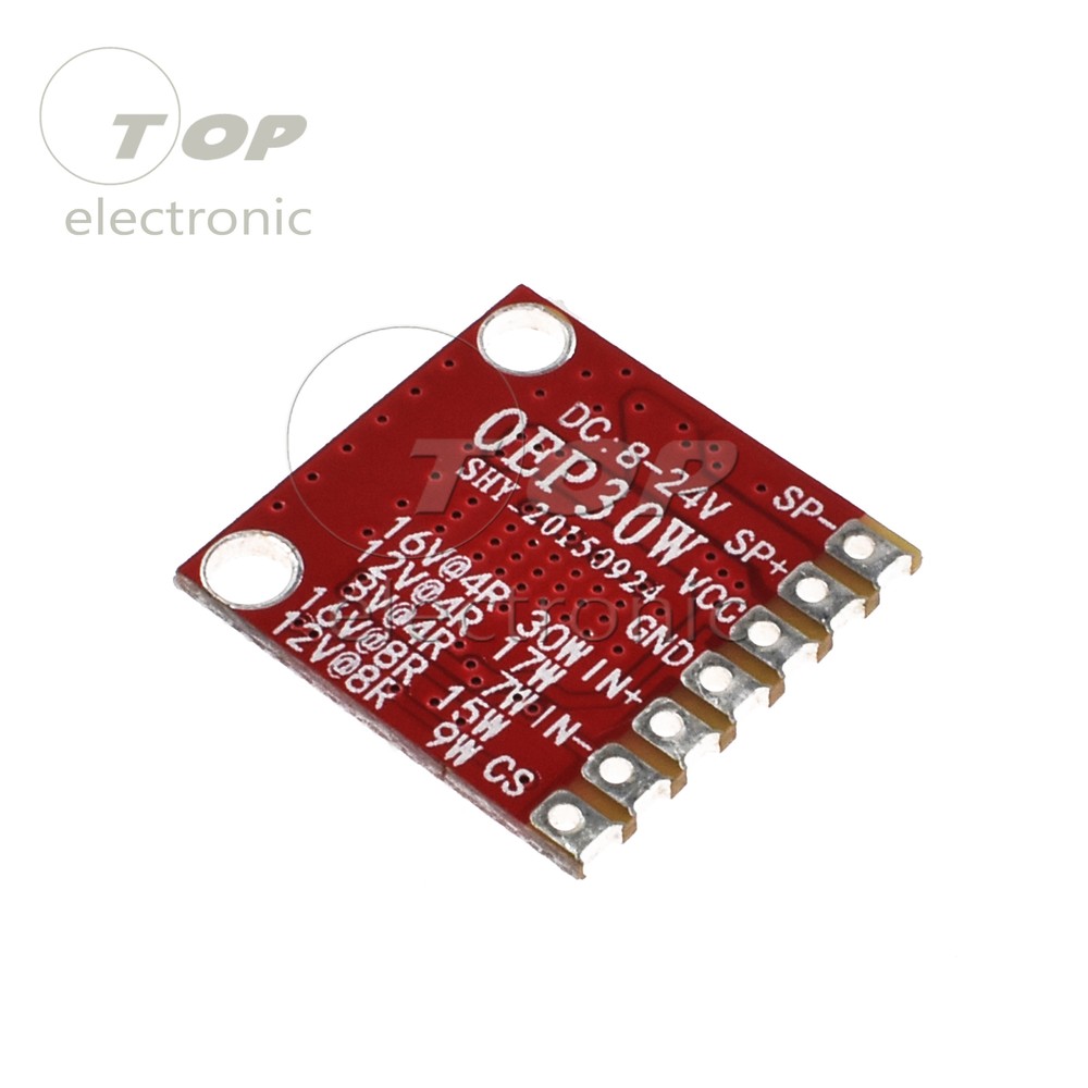 2PCS OEP30W Mono Digital Amplifier Module Amplifier Board DC 8-24V D Class