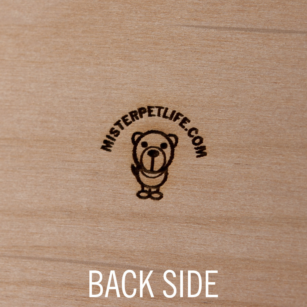 Leonberger Keychain key chain keys charm leo