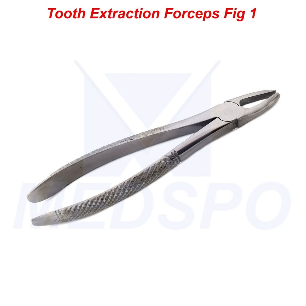Dental Extraction Forceps Fig 01 Upper Incisors Tooth Extracting Instruments CE