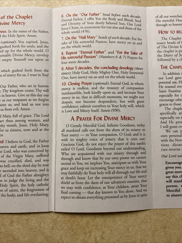 Divine Mercy Novena And Chaplet Rosary Companion Prayer Booklet Pamphlet