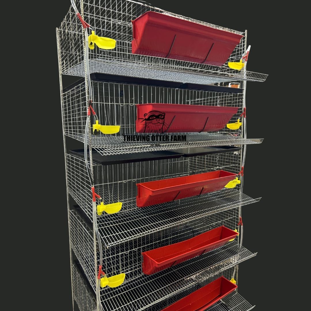 TOF Complete Coturnix Quail Cage System -- Just add quail!