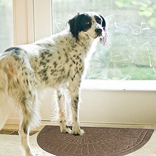 Rubber Doormat Indoor Outdoor Half Round Front Door Mat Non Slip Backing Floor M