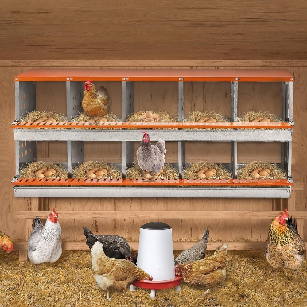 Chicken Nesting Box 10 Holes Metal Poultry Brooding Box Automatic Egg Rollout