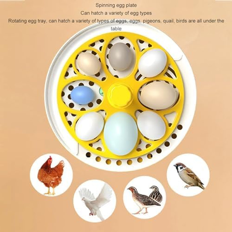 Mini Egg Incubator, Temperature Control Digital Incubators, 4 Eggs Candler Poult